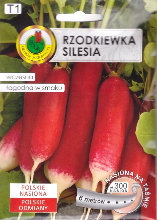 rzodkiewka silesia.jpg