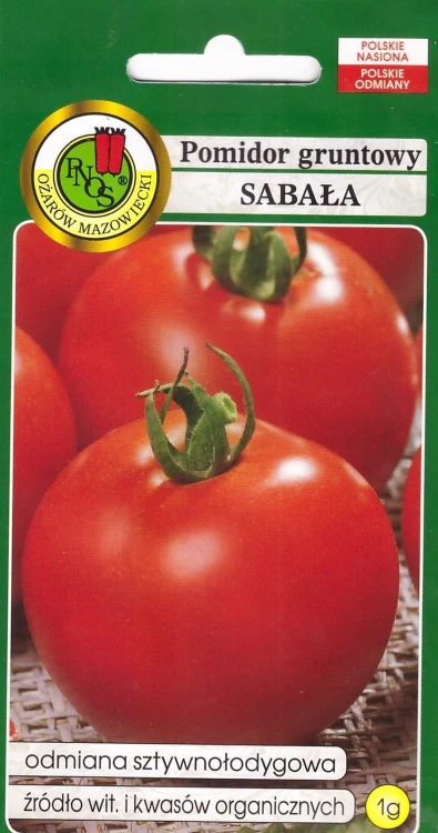 pomidor sabała.jpg