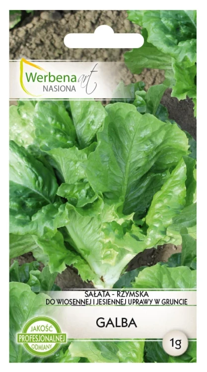 sałata-galba.webp