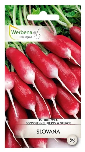 Rzodkiewka-Slovana.webp