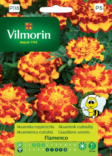 aksamitka flamenco.jpg