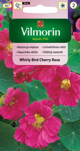 nasturcja whirly bird cherry rose.jpg