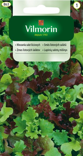 mieszanka sałat liściowych mesclun sweet.jpg