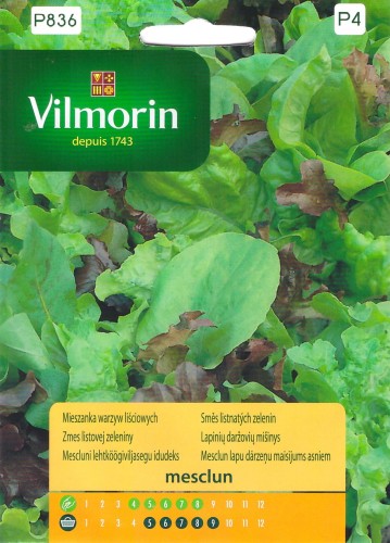 mieszanka mesclun.jpg