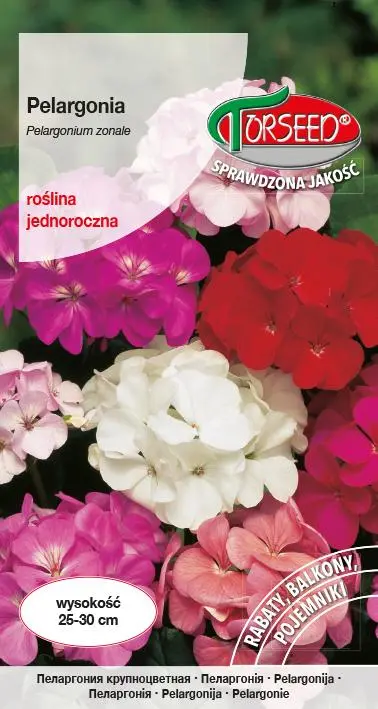 Pelargonia-mieszanka.webp