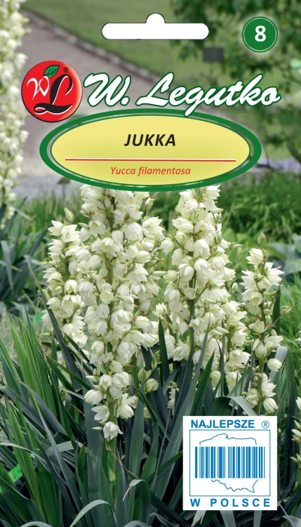 Jukka.webp
