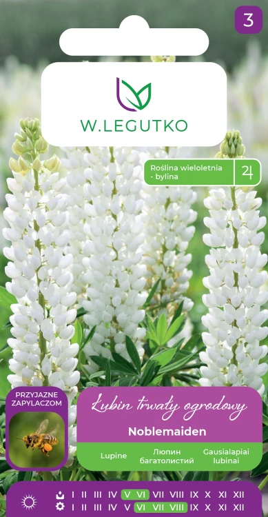 łubin-trwały-noblemaiden.webp