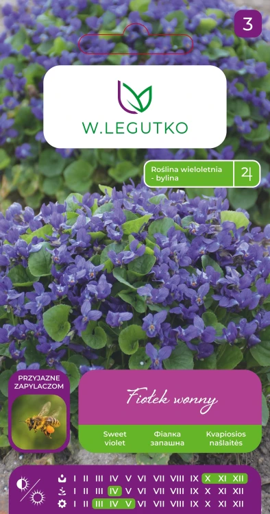 fiołek-wonny.webp
