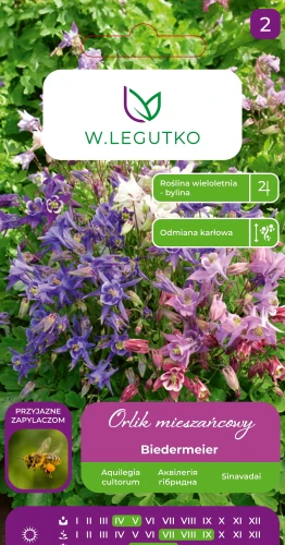 orlik-karłowy-biedermeier.webp