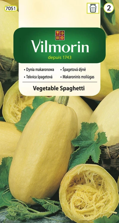 dynia-vegetable-spaghetti.webp