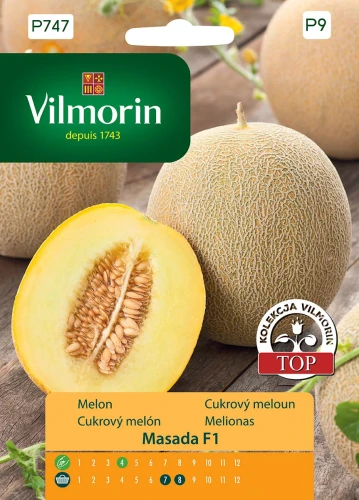 melon-masada.webp