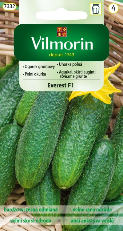 ogórek-everest.webp
