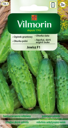 ogórek jowisz.jpg