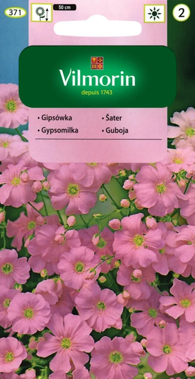 gipsówka-wytworna-różowa.webp