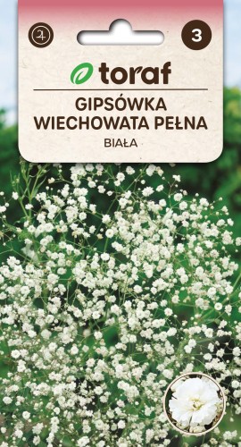 Gipsówka wiechowata pełna biała.jpg
