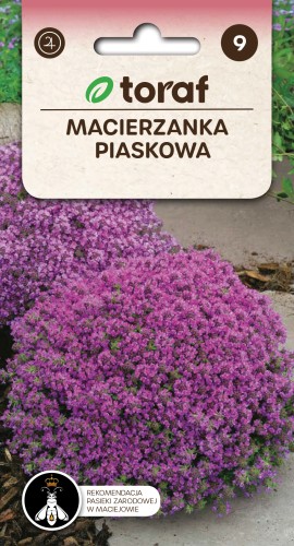 Macierzanka piaskowa.jpg