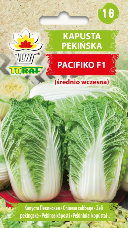 Kapusta pekińska PACIFIKO F1.jpg