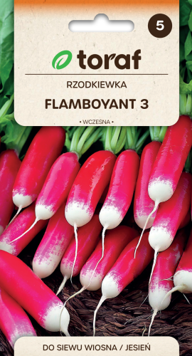 Rzodkiewka FLAMBOYANT 3.png