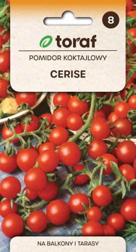 Pomidor koktajlowy CERISE.jpg