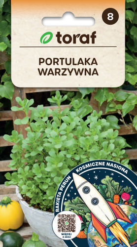 Portulaka warzywna.png