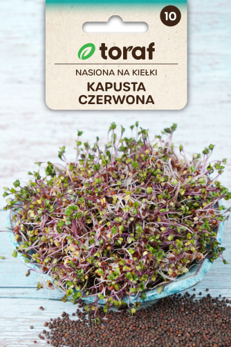 Nasiona na kiełki KAPUSTA CZERWONA.png