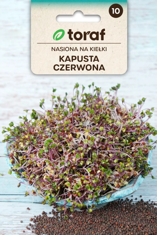 Nasiona na kiełki KAPUSTA CZERWONA.png