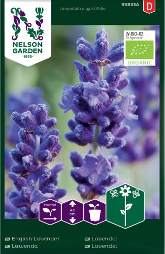 lawenda_waskolistna_nelson_garden.jpg