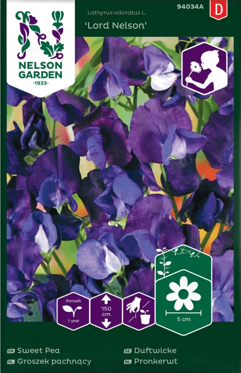 groszek_pachnacy_lord_nelson_niebiesko_purpurowy_nelson_garden.jpg