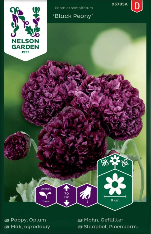 mak_ogrodowy_black_peony_ciemnofioletowy_nelson_garden.jpg