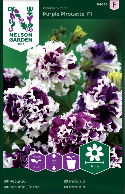 petunia purple pirouette.jpg