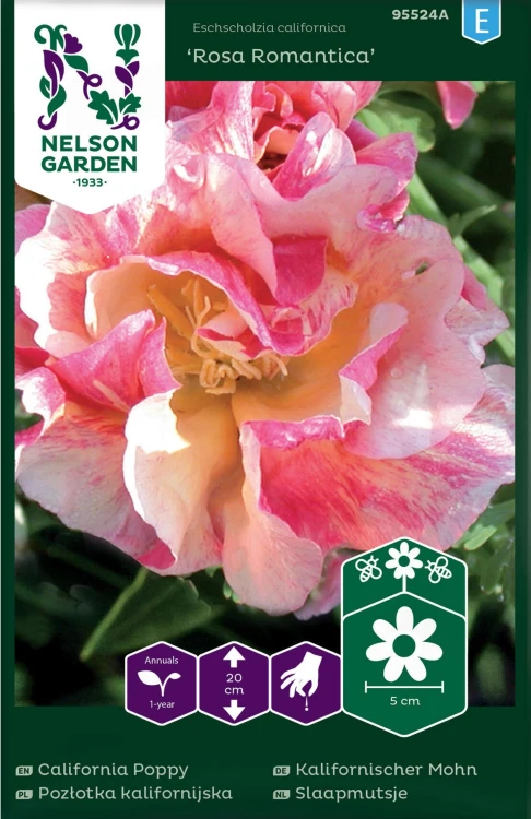 pozlotka_kalifornijska_rosa_romantica_rozowa_nelson_garden.jpg