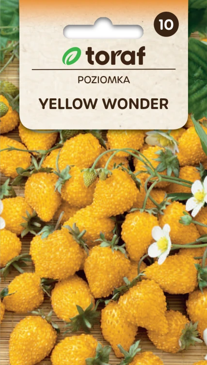 Poziomka YELLOW WONDER.png