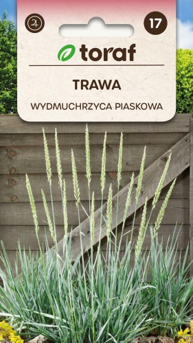 Trawa WYDMUCHRZYCA PIASKOWA.jpg