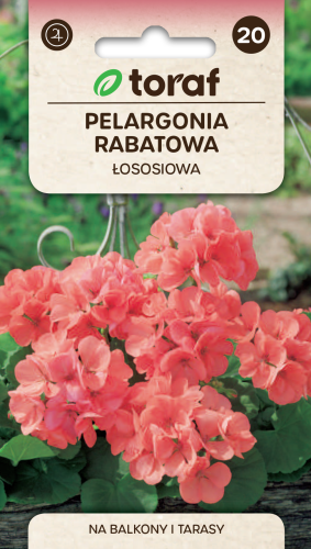Pelargonia rabatowa łososiowa.png