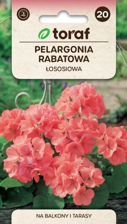 Pelargonia rabatowa łososiowa.png