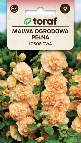 Malwa ogrodowa pełna łososiowa.png