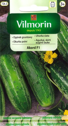 ogórek akord.jpg