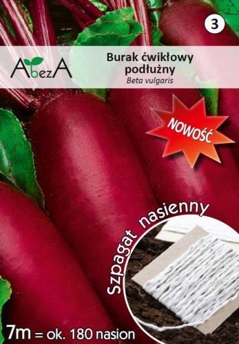 Burak podłużny.jpg