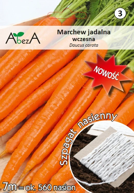 Marchew wczesna.jpg