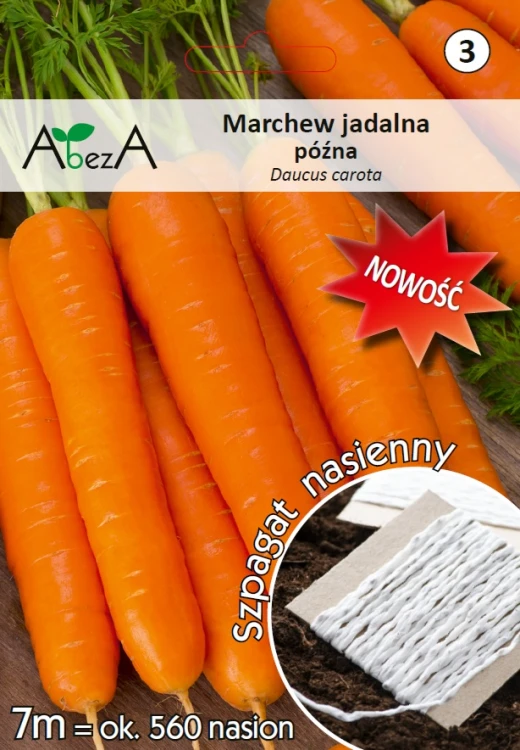 Marchew późna.jpg