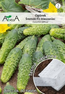 Ogórek konserwowy Śremski na taśmie nasiona 6 metrów