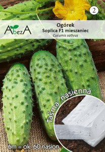 Ogórek Soplica na taśmie nasiona 6 metrów