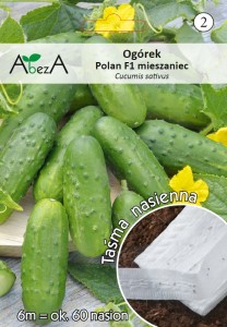 Ogórek konserwowy Polan nasiona na taśmie 6 metrów