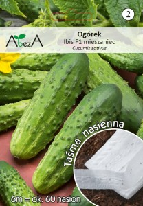 Ogórek konserwowy Ibis na taśmie nasiona 6 metrów