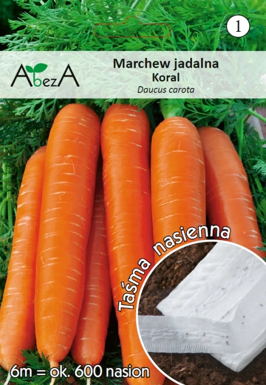 Marchew Koral.jpg