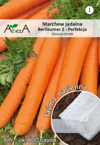 Marchew Berlikumer 2 - Perfekcja na taśmie nasiona 6 metrów