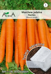Marchew jadalna Nantes 2 na taśmie nasiona 6 metrów