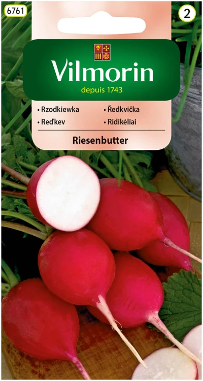 rzodkiewka riesenbutter.jpg