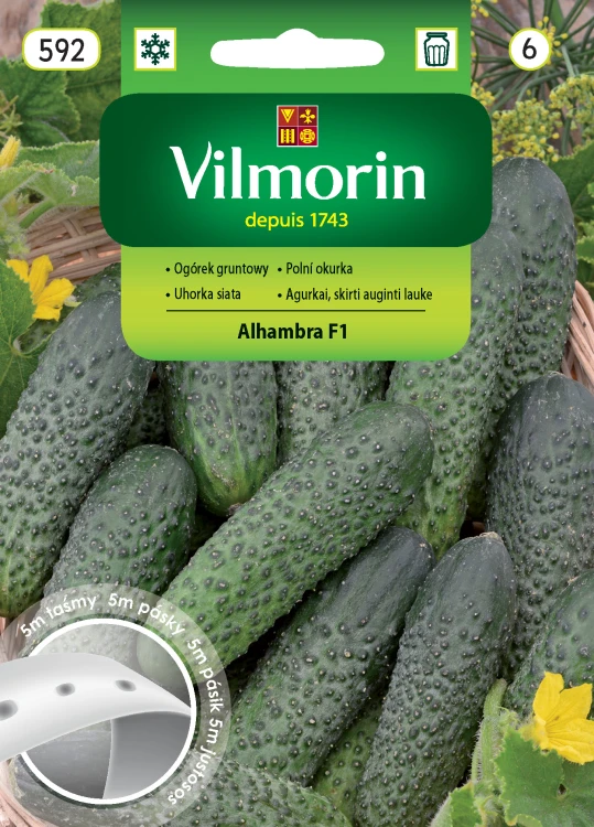 ogórek Alhambra na taśmie.jpg