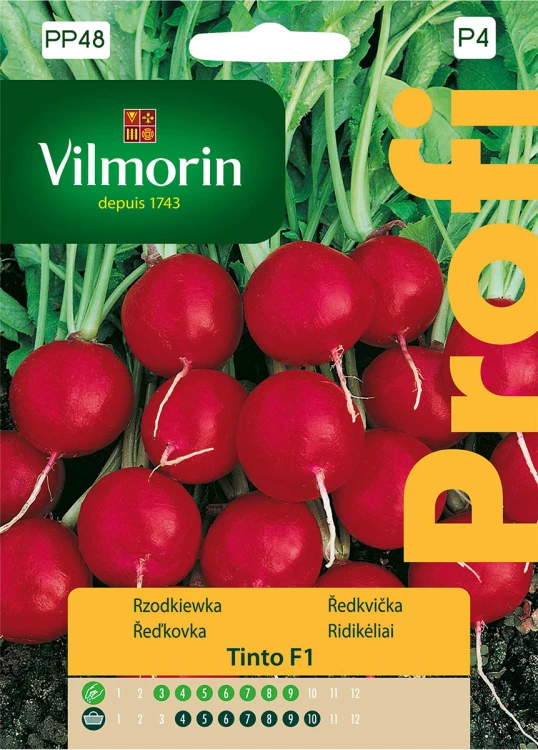 rzodkiewka Tinto.jpg